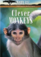 Clever Monkeys