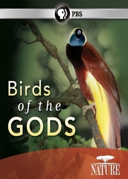 Nature: Птицы рая (Birds of the Gods)