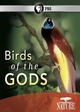 Birds of the Gods