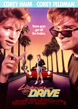 Водительские права (License to Drive)