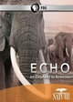 Echo: An Elephant to Remember