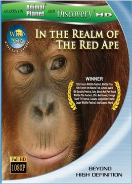 В царстве рыжей обезьяны (In the Realm Of The Red Ape)