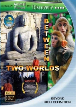 Меж двух миров (Between Two Worlds)