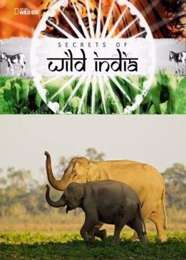 Секреты дикой Индии (Secrets of Wild India)