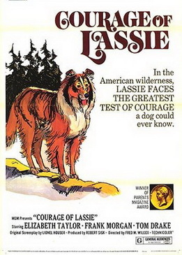 Храбрость Лесси (Courage of Lassie)