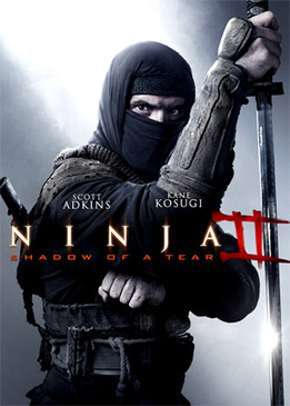 Ниндзя 2 (Ninja: Shadow of a Tear)