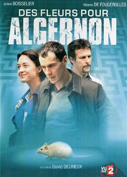 Цветы для Алджернона (Des fleurs pour Algernon)