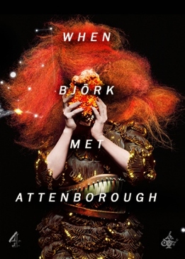 Когда Бьорк встретила Аттенборо (When Bjork Met Attenborough)