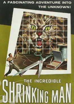 Невероятно худеющий человек (The Incredible Shrinking Man)