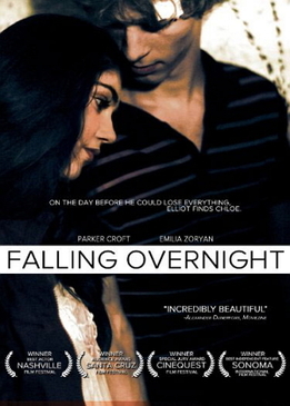 Накануне вечером (Falling Overnight)