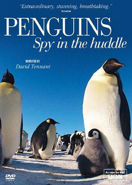 Пингвины: Шпион в толпе (Penguins: Spy in the Huddle)