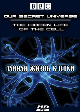 Внутренняя вселенная: Тайная жизнь клетки (Our Secret Universe: The Hidden Life of the Cell)