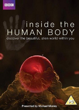 Внутри человеческого тела (Inside the Human Body)