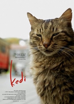 Город кошек (Kedi)