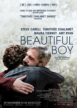 Красивый мальчик (Beautiful Boy)