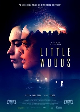 Лесок (Little Woods)