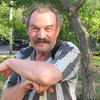 95581 thumb