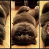908390 thumb