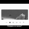 917622 thumb