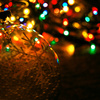 932084 thumb