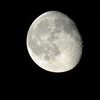 1121662 thumb