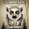 1147877 thumb