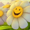 1156743 thumb