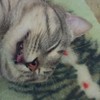 1205300 thumb