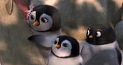 кадр из фильма Лови волну (Surf's Up) - 3