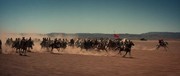 кадр из фильма Идальго - Погоня в пустыне (Hidalgo) - 3