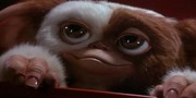 кадр из фильма Гремлины 2 - Новый выводок (Gremlins 2 - The New Batch) - 3