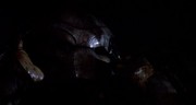 кадр из фильма Хищник (Predator) - 5