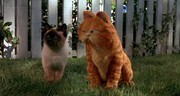 кадр из фильма Гарфилд (Garfield) - 1