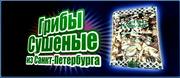 кадр из фильма Кислород - 6