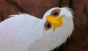 кадр из фильма Спасатели в Австралии (The Rescuers Down Under) - 1