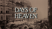 кадр из фильма Дни жатвы (Days of Heaven) - 1