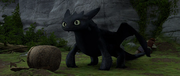 кадр из фильма Как приручить дракона (How to Train Your Dragon) - 3