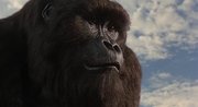 кадр из фильма Могучий Джо Янг (Mighty Joe Young) - 3