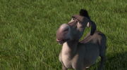 кадр из фильма Шрек (Shrek) - 10