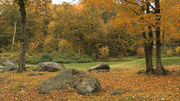 кадр из фильма Живые Пейзажи: Осень в Новой Англии (Living Landscapes: Fall in New England) - 6