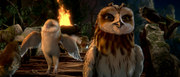 кадр из фильма Легенды ночных стражей (Legend of the Guardians: The Owls of Ga'Hoole) - 10