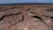 кадр из фильма Галапагосы (BBC: Galapagos) - 17