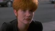 кадр из фильма Одинокая белая женщина (Single White Female) - 4