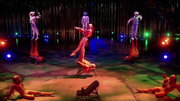кадр из фильма Цирк Солнца: Варекай (Cirque du Soleil: Varekai) - 3