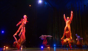 кадр из фильма Цирк Солнца: Варекай (Cirque du Soleil: Varekai) - 13