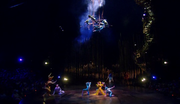 кадр из фильма Цирк Солнца: Варекай (Cirque du Soleil: Varekai) - 14