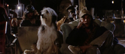 кадр из фильма Парень и его пес (A Boy and His Dog) - 3