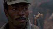 кадр из фильма Хищник (Predator) - 8