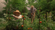 кадр из фильма Шофер мисс Дэйзи (Driving Miss Daisy) - 6