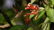 кадр из фильма Мифы Амазонки (Mythos Amazonas) - 7